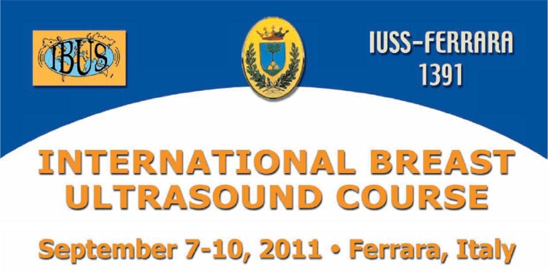 IBUS 2011_banner.jpg