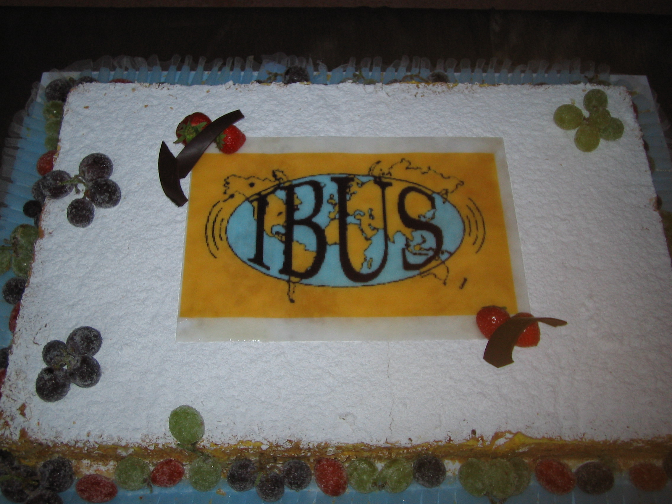 IBUS PHOTO 4